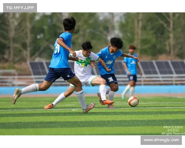 20173河北体育赛事,河北体育项目