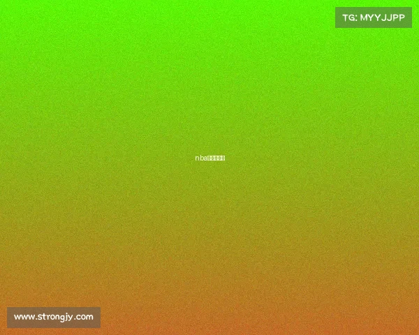 nba目前什么赛 nba目前什么赛