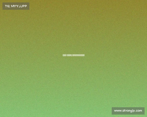 格雷西 日本赛事,格雷西格斗术比赛视频